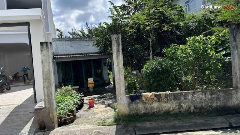 1508-le-van-luong-thong-tin-chi-tiet-2026