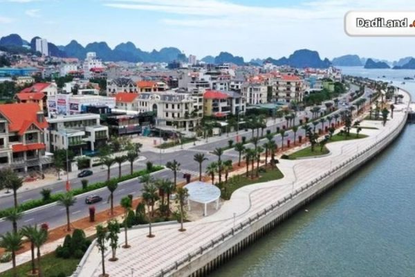 164-khuat-duy-tien-thanh-xuan