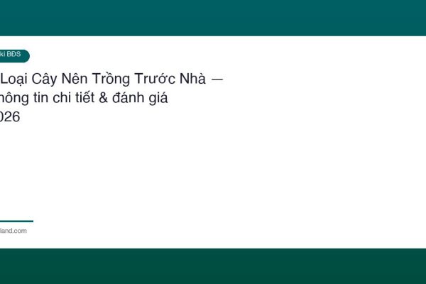 5 Loai Cay Nen Trong Truoc Nha