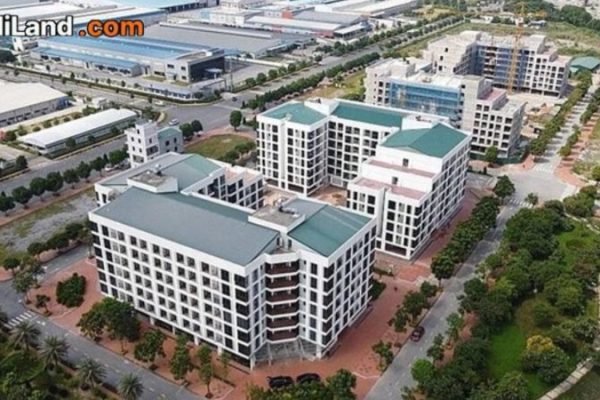bai-vien-nam-dinh-thong-tin-chi-tiet-2026
