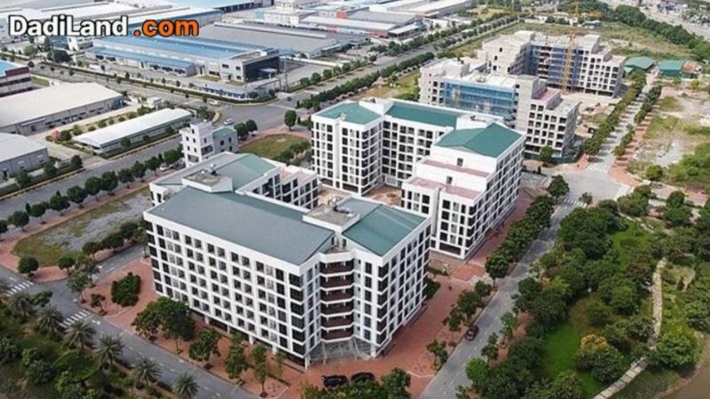 bai-vien-nam-dinh-thong-tin-chi-tiet-2026