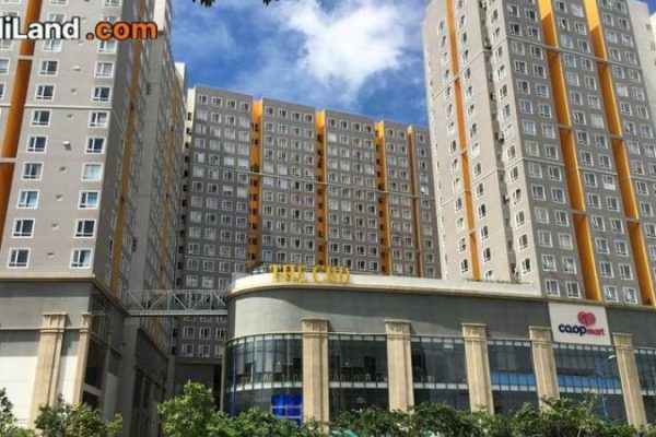 ban-chung-cu-thanh-my-loi-thong-tin-chi-tiet-2026