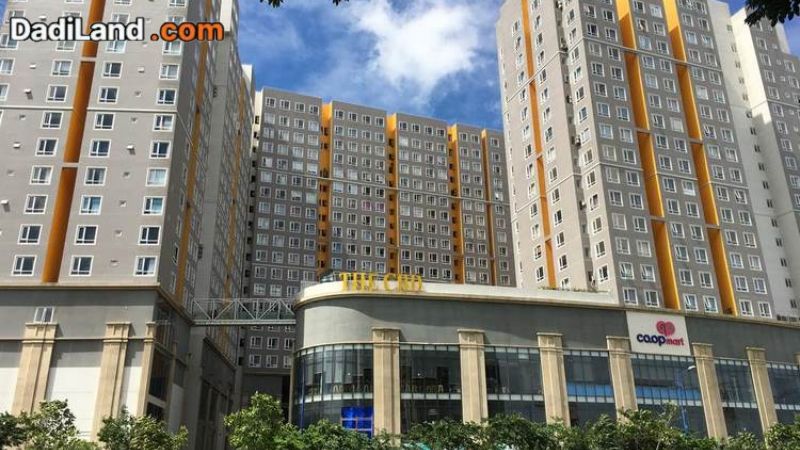 ban-chung-cu-thanh-my-loi-thong-tin-chi-tiet-2026