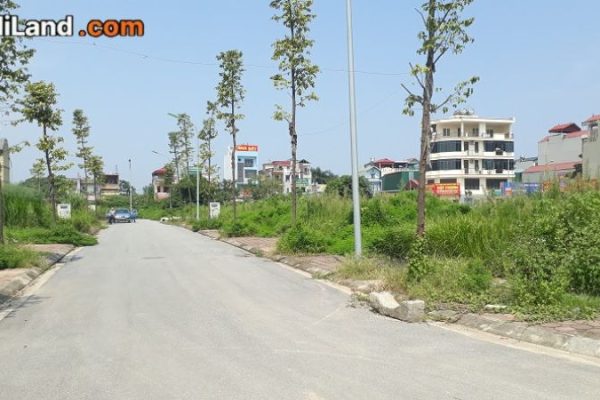 ban-dat-dich-vu-dong-mai-thong-tin-chi-tiet-2026