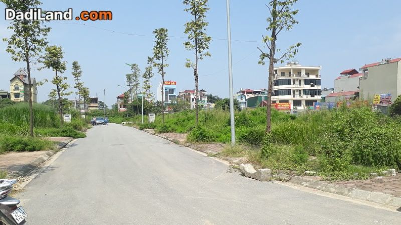 ban-dat-dich-vu-dong-mai-thong-tin-chi-tiet-2026
