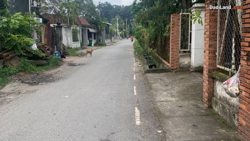 binh-nham-40-thong-tin-chi-tiet-2026