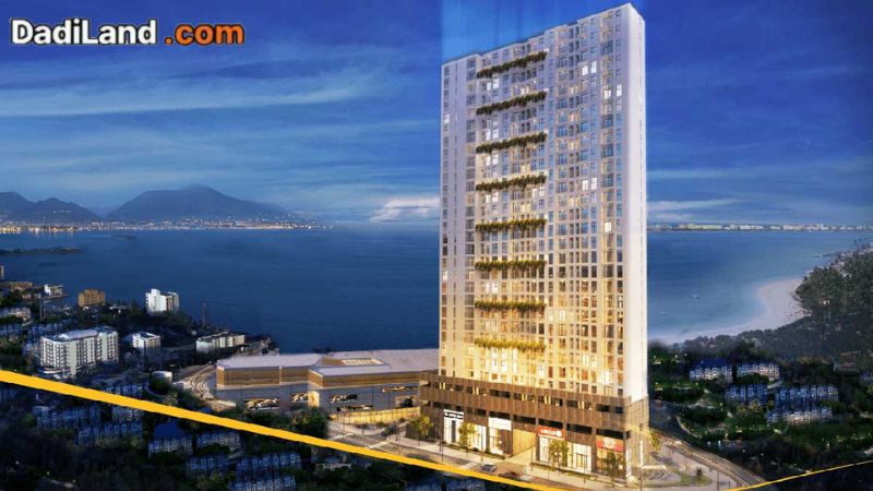 can-ho-calla-apartment-quy-nhon