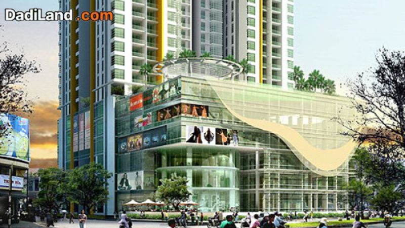 cao-oc-cinco-4-mat-tien-gia-ban-thong-tin-2026