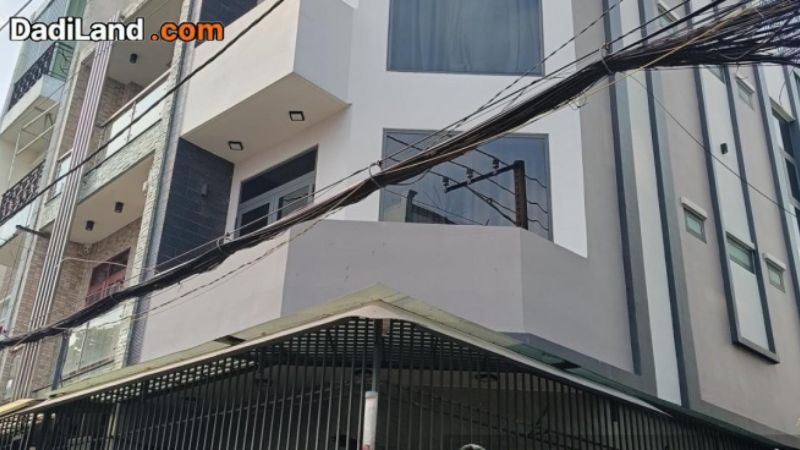 cao-oc-dai-thanh-phong-thuy-a-dong-gia-ban-thong-tin-2026