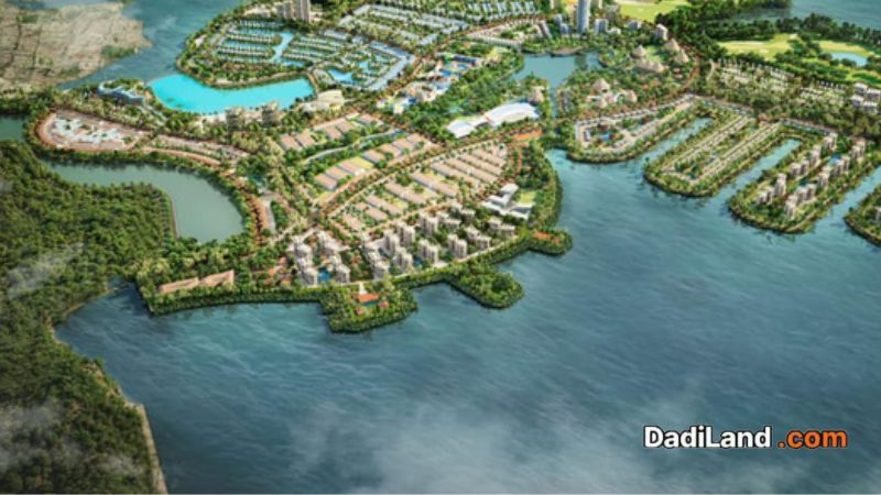 dao-hoa-phuong-mot-nguoi-so-huu-—-gia-ban-thong-tin-2026