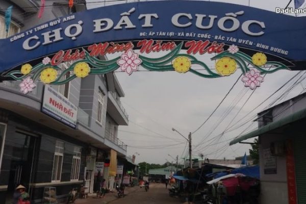 dat-cuoc-thong-tin-chi-tiet-2026