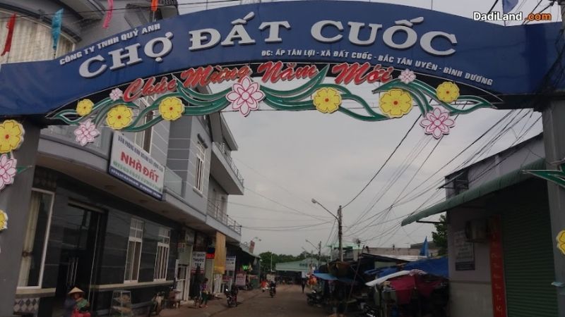 dat-cuoc-thong-tin-chi-tiet-2026