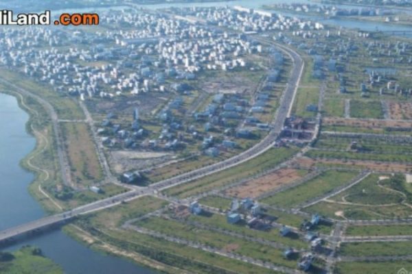 dat-nen-hoa-xuan-thong-tin-chi-tiet-2026