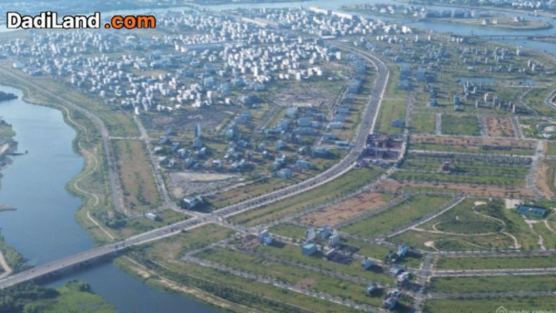 dat-nen-hoa-xuan-thong-tin-chi-tiet-2026