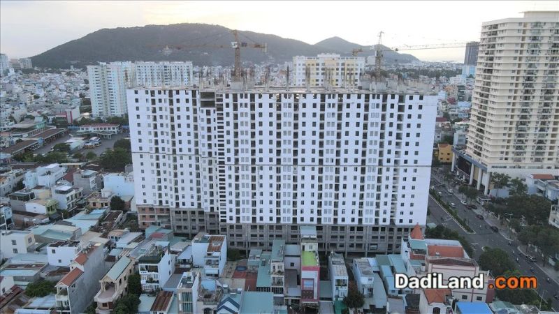 Dụ-án-can-họ-Son-Thịnh-3-—-Gia-ban-&-thong-tin-2026