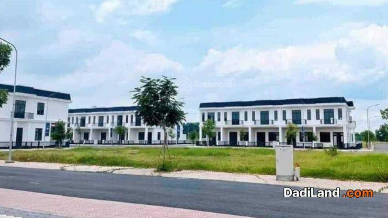 du-an-young-town-tay-bac-sai-gon-—-gia-ban-thong-tin-2026