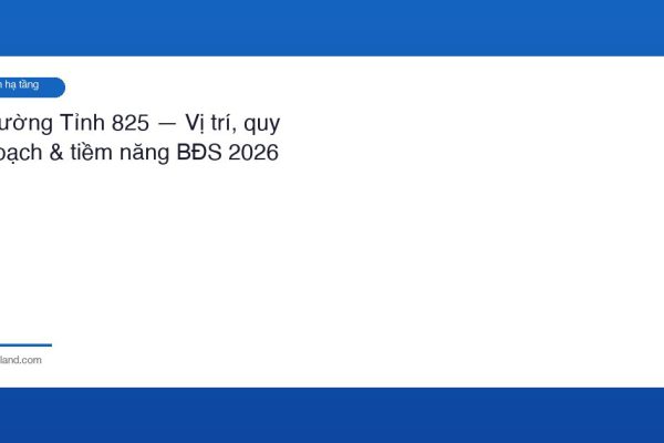 Duong Tinh 825