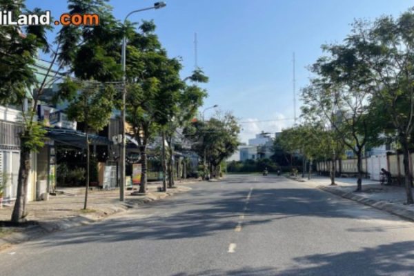 duong-van-nga-nai-hien-dong-son-tra-da-nang-thong-tin-chi-tiet-2026