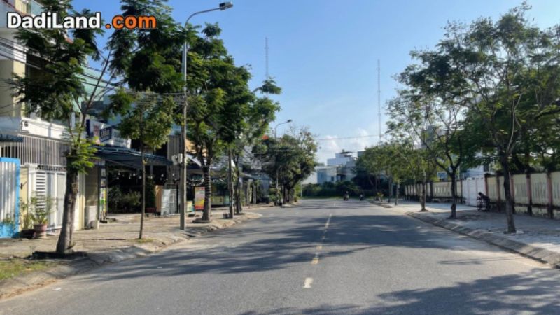 duong-van-nga-nai-hien-dong-son-tra-da-nang-thong-tin-chi-tiet-2026