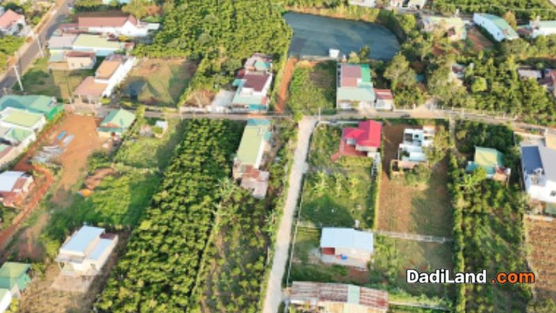 fog-garden-du-an-dat-nen-tai-bao-loc-—-gia-ban-thong-tin-2026
