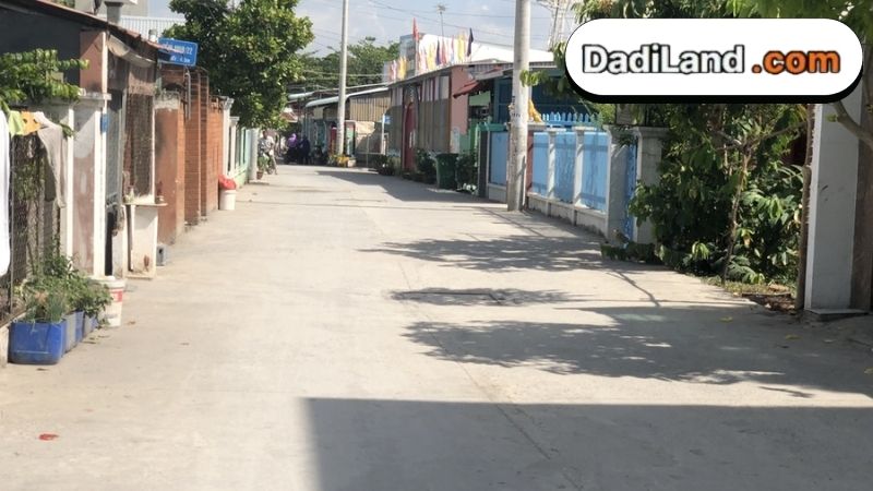 hem-274-nguyen-van-tao-thong-tin-chi-tiet-2026