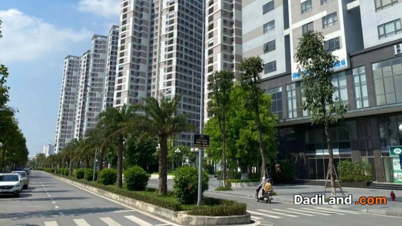 khu-dan-cu-c-t-c-chung-cu-biet-thu-hoa-anh-dao-—-gia-ban-thong-tin-2026