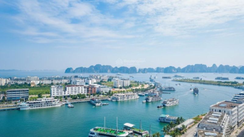 khu-do-thi-cang-ngoc-chau-tieu-khu-22-cua-dao-tuan-chau-—-gia-ban-thong-tin-2026