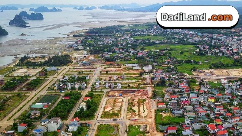 khu-do-thi-thong-nhat-van-don-thong-tin-chi-tiet-2026