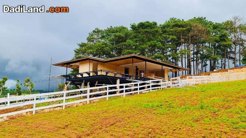 kiwuki-village-du-an-biet-thu-tai-bao-loc-gia-ban-thong-tin-2026
