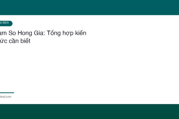 Lam So Hong Gia 1
