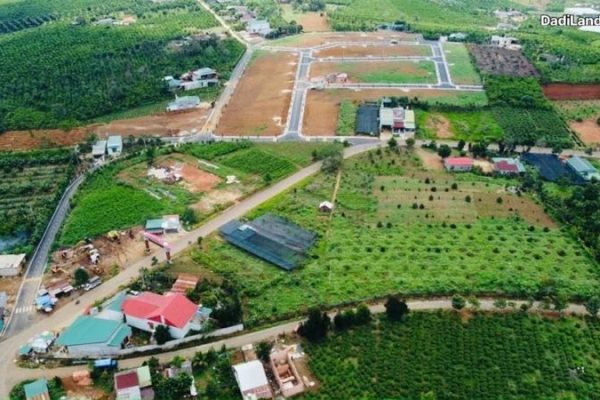 loc-tan-bao-lam-lam-dong-thong-tin-chi-tiet-2026