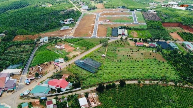loc-tan-bao-lam-lam-dong-thong-tin-chi-tiet-2026