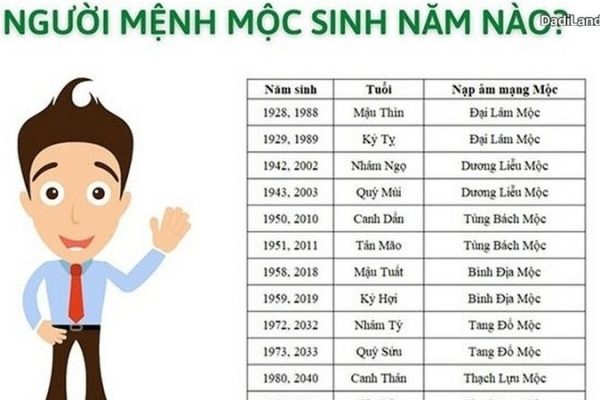 menh-moc-sinh-nam-bao-nhieu-bang-gia-chi-tiet-cap-nhat-2026