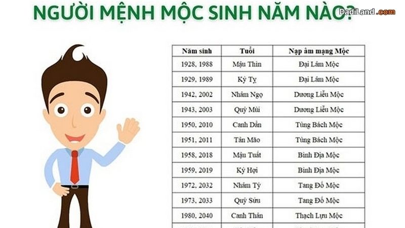 menh-moc-sinh-nam-bao-nhieu-bang-gia-chi-tiet-cap-nhat-2026