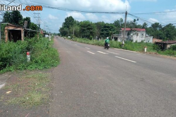 mua-dat-binh-phuoc-thong-tin-chi-tiet-2026