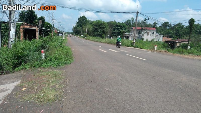 mua-dat-binh-phuoc-thong-tin-chi-tiet-2026