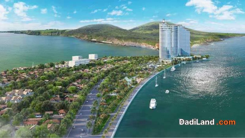mui-tan-quy-nhon-binh-dinh-—-gia-ban-thong-tin-2026