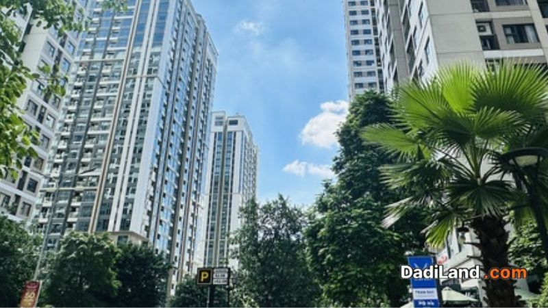 my-phu-apartment-diem-sang-cua-thi-truong-trong-nam-2011-—-gia-ban-thong-tin-2026