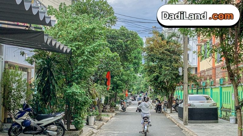 nai-nghia-3-thong-tin-chi-tiet-2026