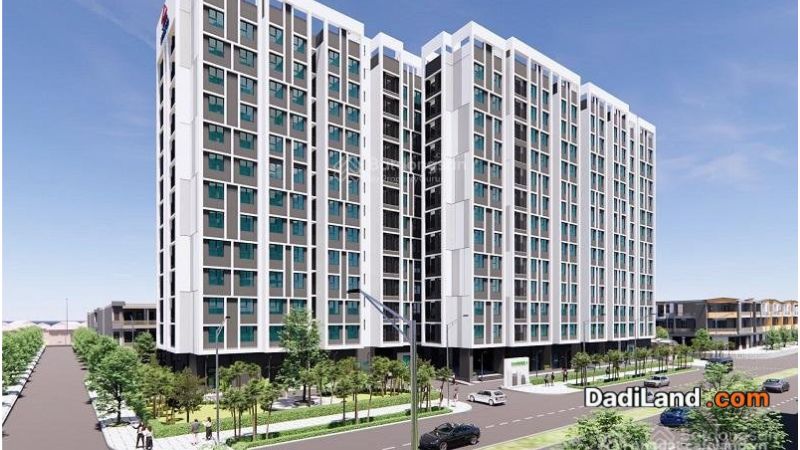 Nest-home-1-can-ho-an-sinh-cho-nguoi-dan-da-nang-gia-ban-thong-tin-2026