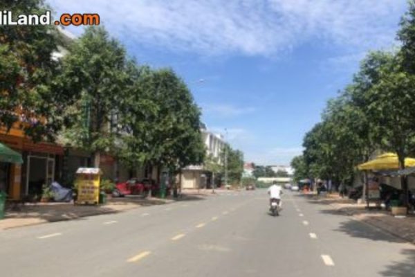 nga-tu-cay-sung-trang-dai-thong-tin-chi-tiet-2026