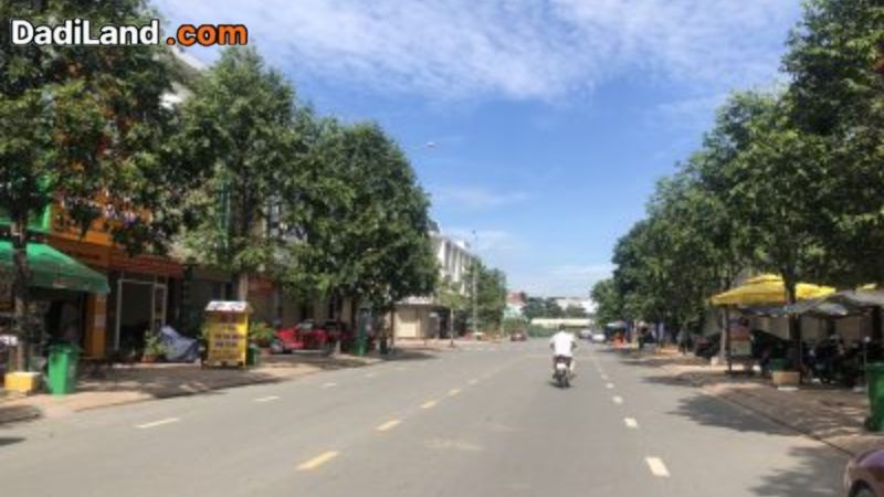 nga-tu-cay-sung-trang-dai-thong-tin-chi-tiet-2026