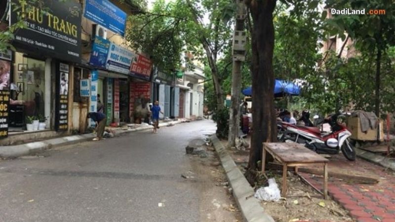 ngo-33-pho-cu-loc-thong-tin-chi-tiet-2026