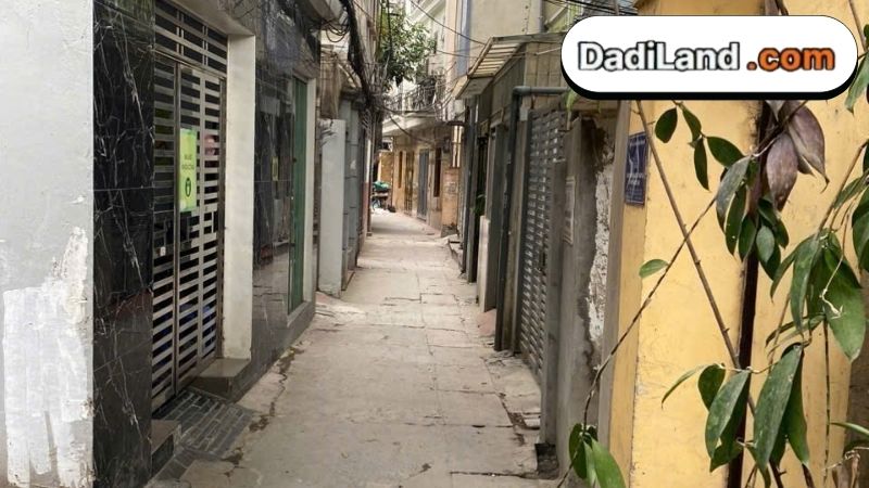 ngo-591-hoang-hoa-tham-thong-tin-chi-tiet-2026