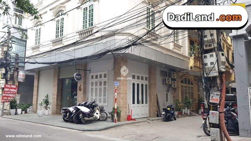 ngo-61-pham-tuan-tai-thong-tin-chi-tiet-2026