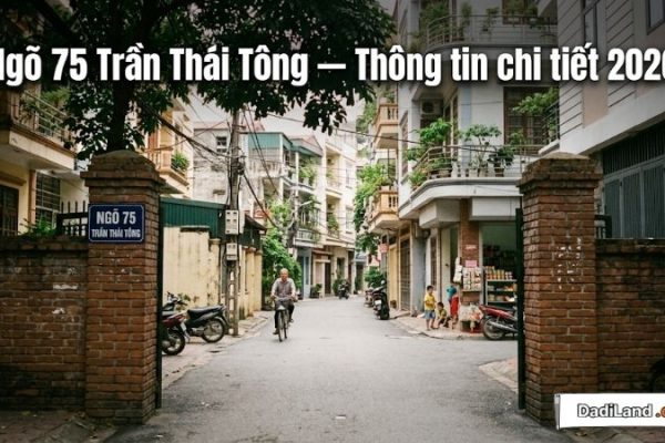 Ngõ 75 Trần Thái Tông — Thông tin chi tiết 2026