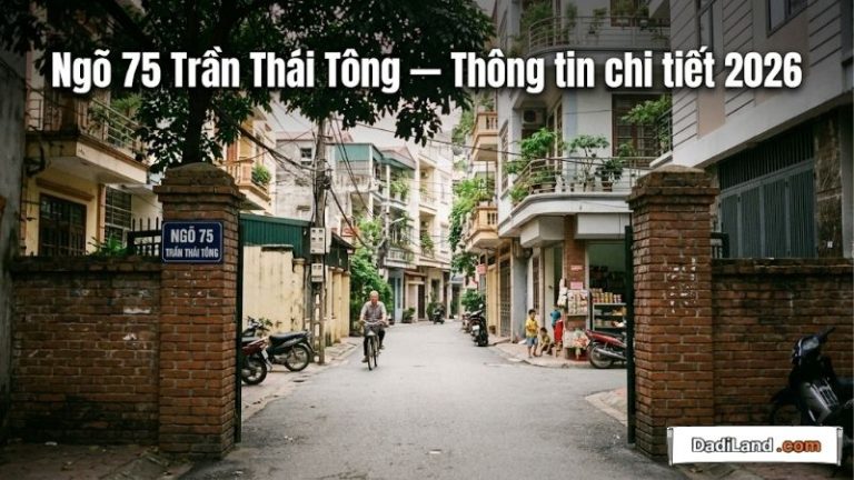 Ngõ 75 Trần Thái Tông — Thông tin chi tiết 2026