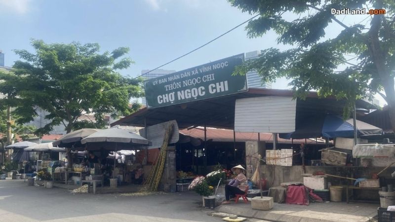 ngoc-chi-vinh-ngoc-dong-anh-ha-noi-thong-tin-chi-tiet-2026