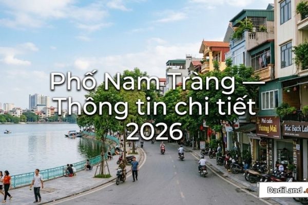 Phố Nam Tràng — Thông tin chi tiết 2026