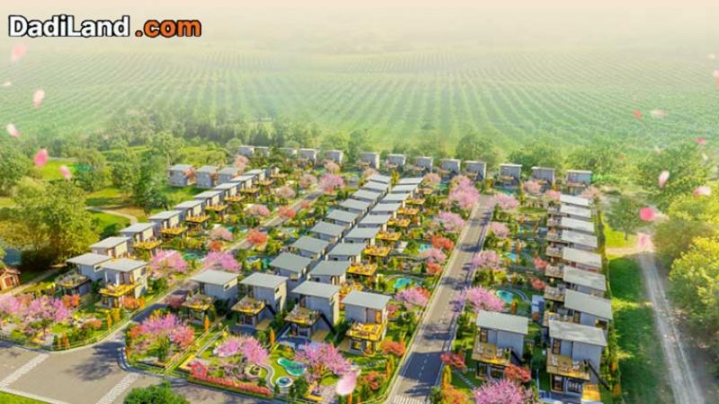 sakura-garden-du-an-dat-nen-tai-tinh-lam-dong